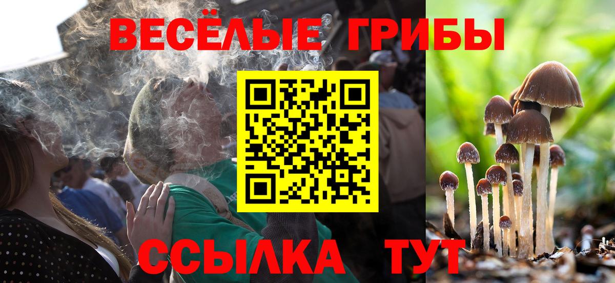 Галлюциногенные грибы мухоморы  Вход с VPN  Псилоцибиновые грибы GOLDEN TEACHER  Пугачёв 